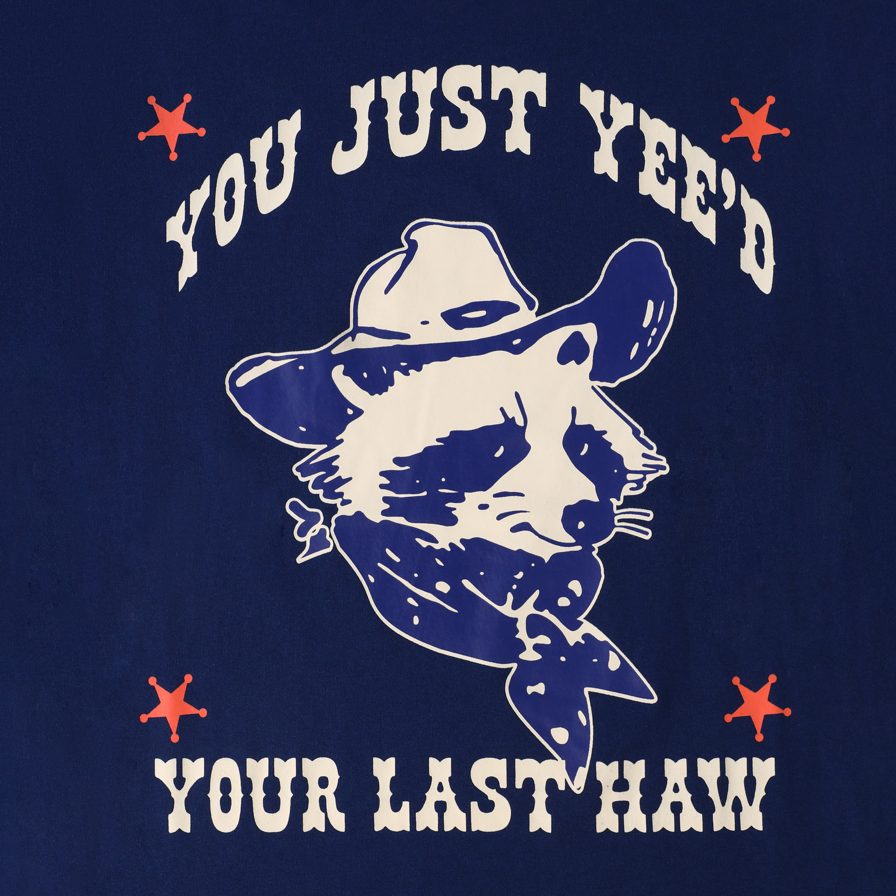 Cowboy Raccoon Graphic Tee