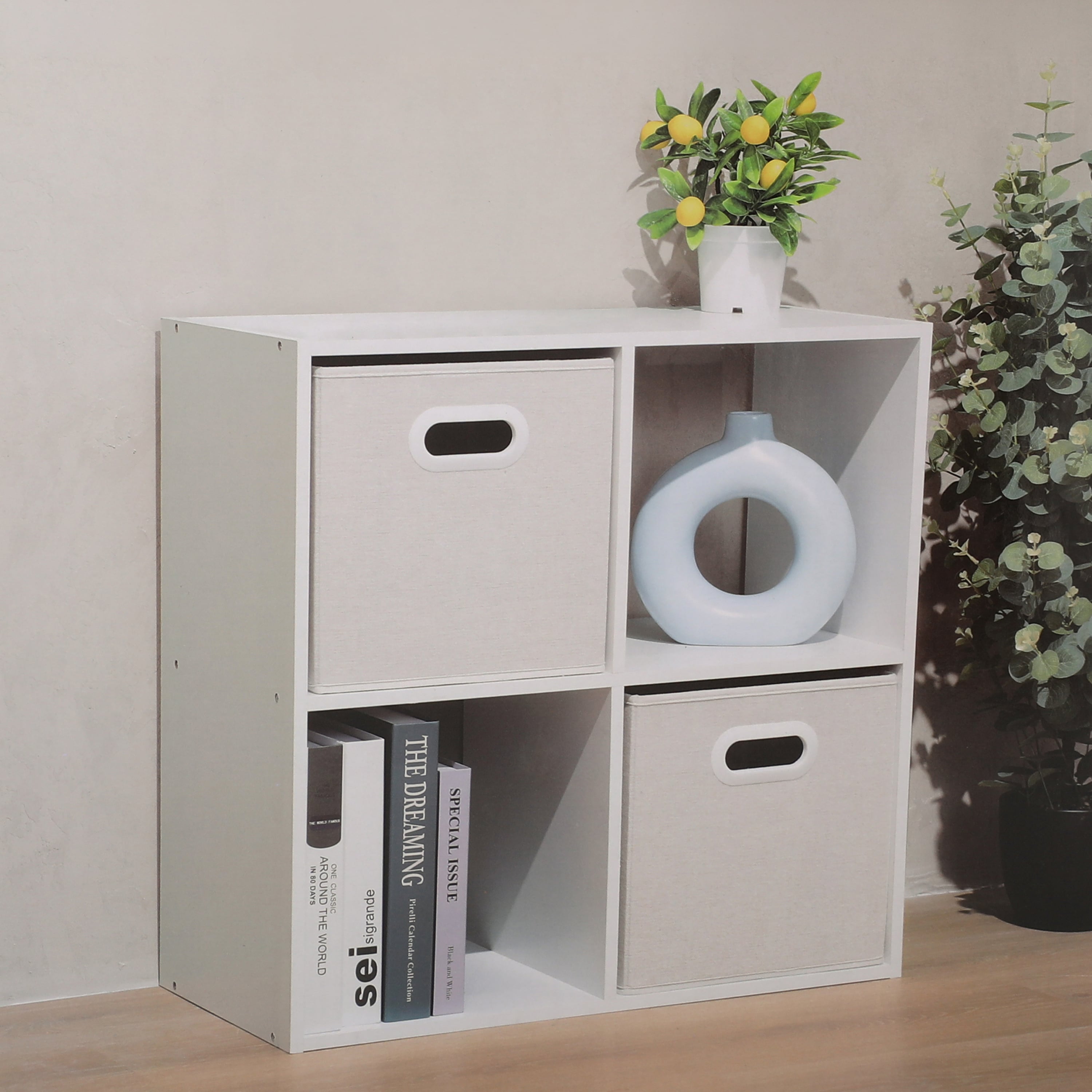 4 Cube Shelf