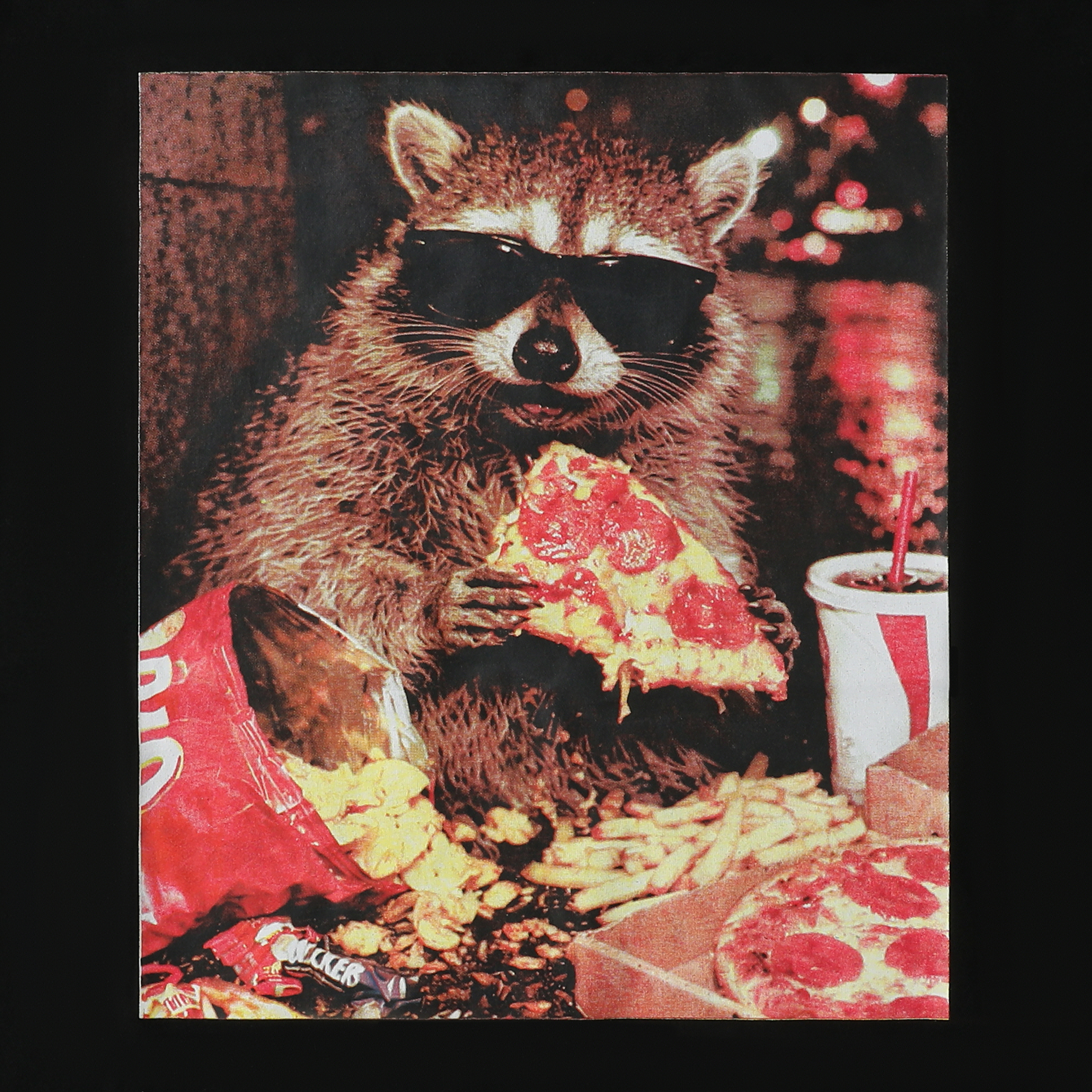 Pizza Raccoon Graphic Tee