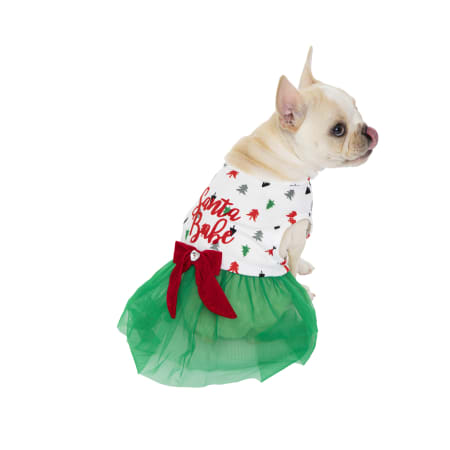 pet holiday dresses Parisian Pet main image 0
