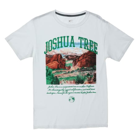joshua tree graphic tee | Five Below