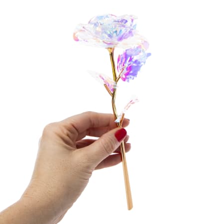 Holographic Rose