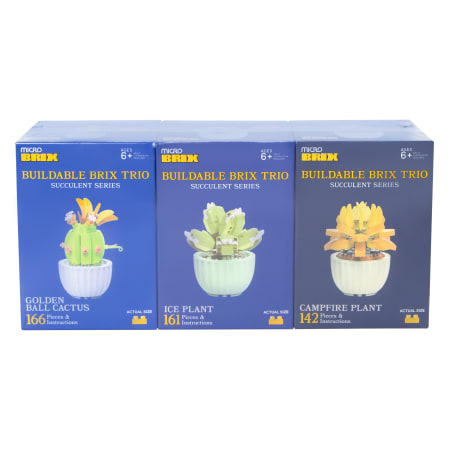 永樂　鉢　3点セット Succulent Buildable Brix Trio 3-Pack | Five Below