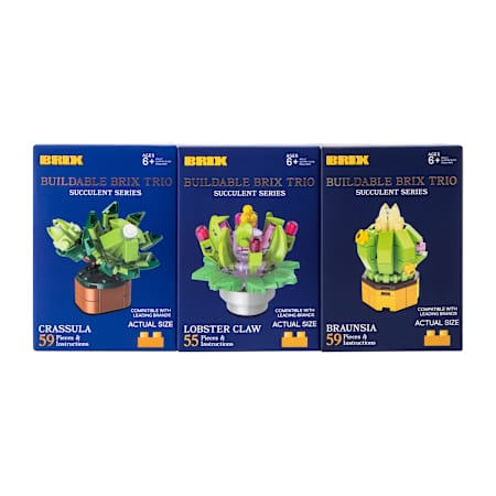 Succulent Buildable Brix Trio 3-Pack | Five Below