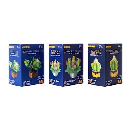Succulent Buildable Brix Trio 3-Pack | Five Below