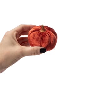 6-Count Mini Pumpkins
