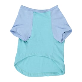 Summer Dog Graphic Tee - Popsicle