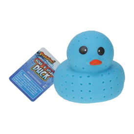 Splash Duck Toy