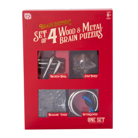 Brain Busters Wood & Metal Brain Puzzles 4-Piece Set | Five Below