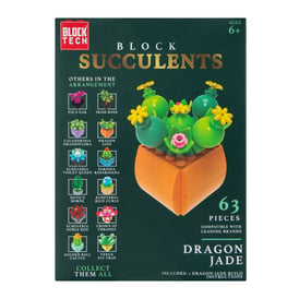 Block Tech® Succulents Block Set | Five Below