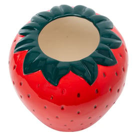 Strawberry Planter | Five Below