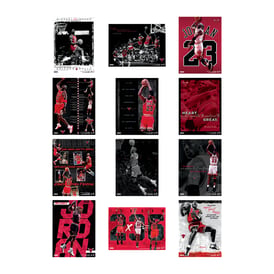 Michael JORDAN Poster Book 12枚セット Michael Jordan Poster Book