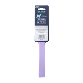Pawsitively Fun! Pet Collar