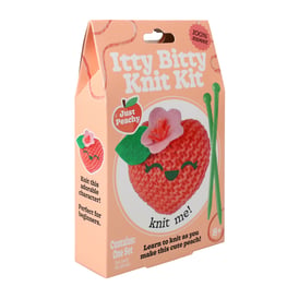 Itty Bitty Knit Kit Set | Five Below