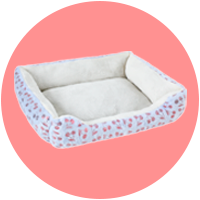 New & Now > New Pet Gear