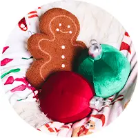 Holiday > Cozy Shop > Pillows & Blankets