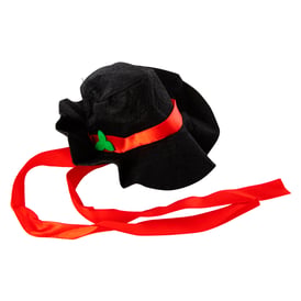 Christmas Cat Hat