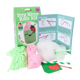 Itty Bitty Knit Kit Craft Set