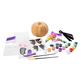 Decorate Your Own Pumpkin Kit